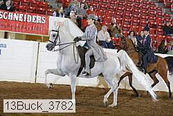 13buck_3782 proof
