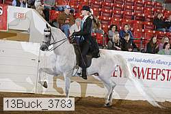 13buck_3783 proof