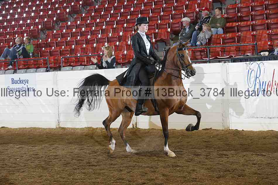 Proof 13buck_3784