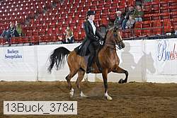 13buck_3784 proof