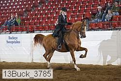 13buck_3785 proof