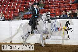 13buck_3786 proof