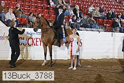 13buck_3788 proof