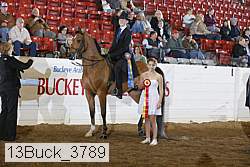 13buck_3789 proof