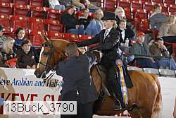 13buck_3790 proof