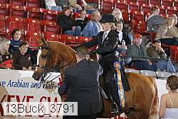 13buck_3791 proof