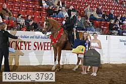 13buck_3792 proof