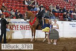 13buck_3793 proof