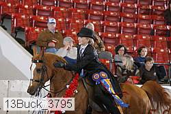 13buck_3795 proof