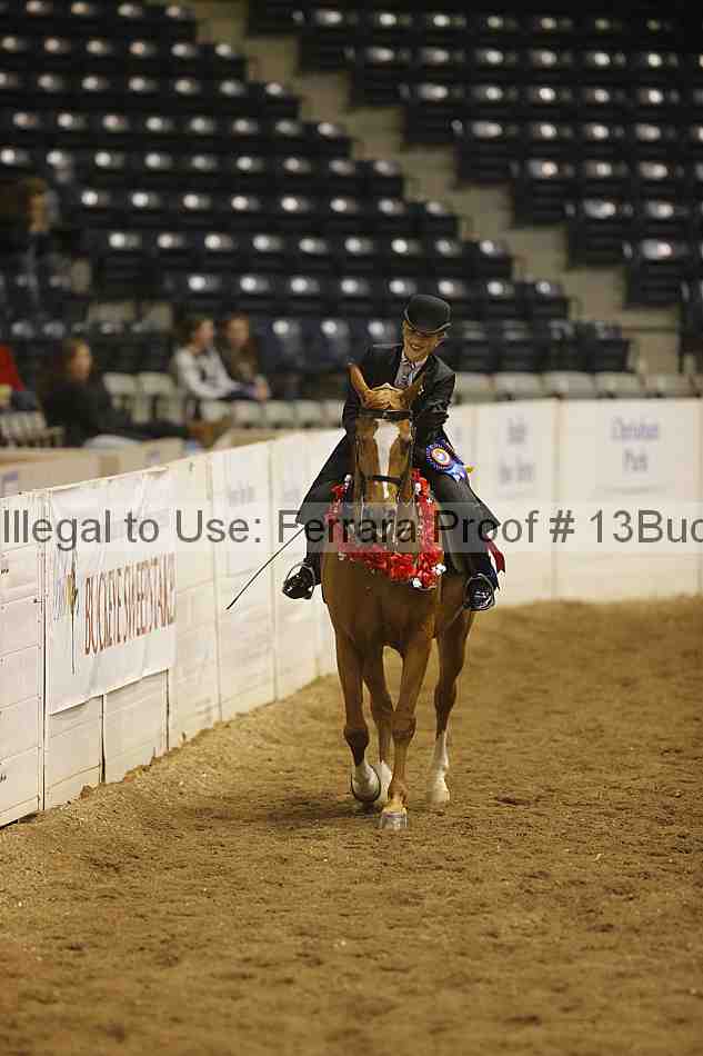 Proof 13buck_3796