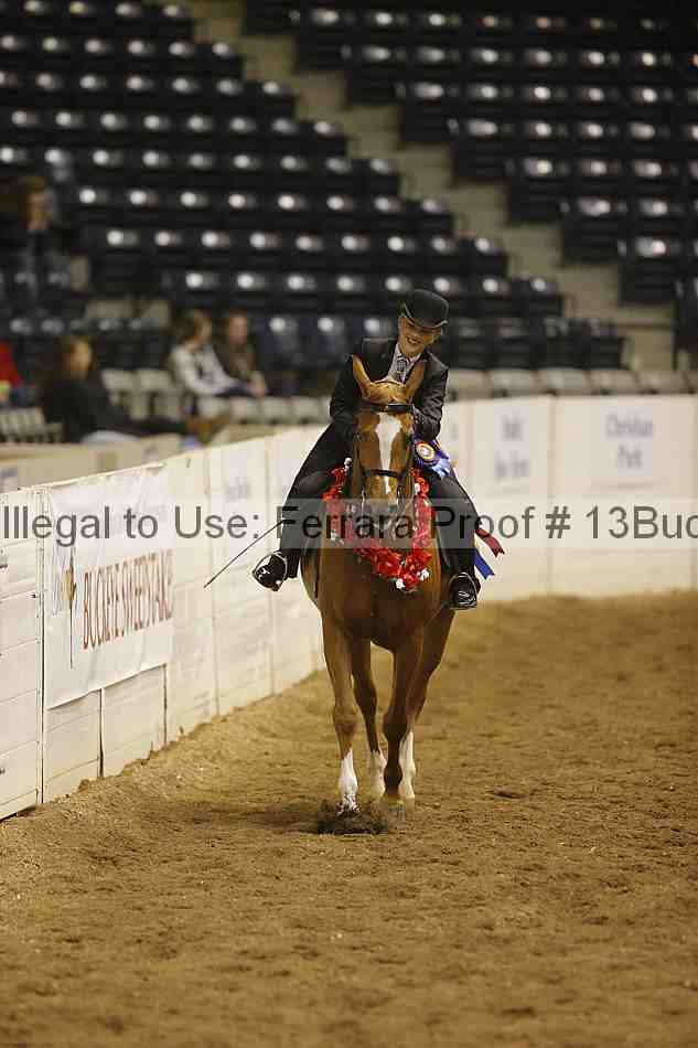 Proof 13buck_3797