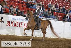 13buck_3798 proof