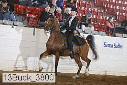 13buck_3800 proof