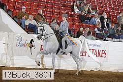 13buck_3801 proof