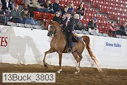 13buck_3803 proof