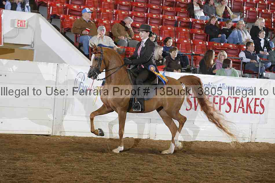 Proof 13buck_3805
