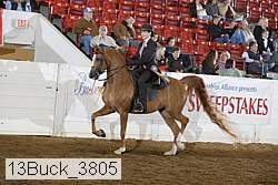 13buck_3805 proof