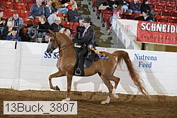 13buck_3807 proof