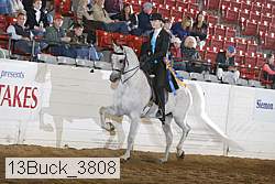 13buck_3808 proof