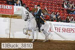 13buck_3810 proof