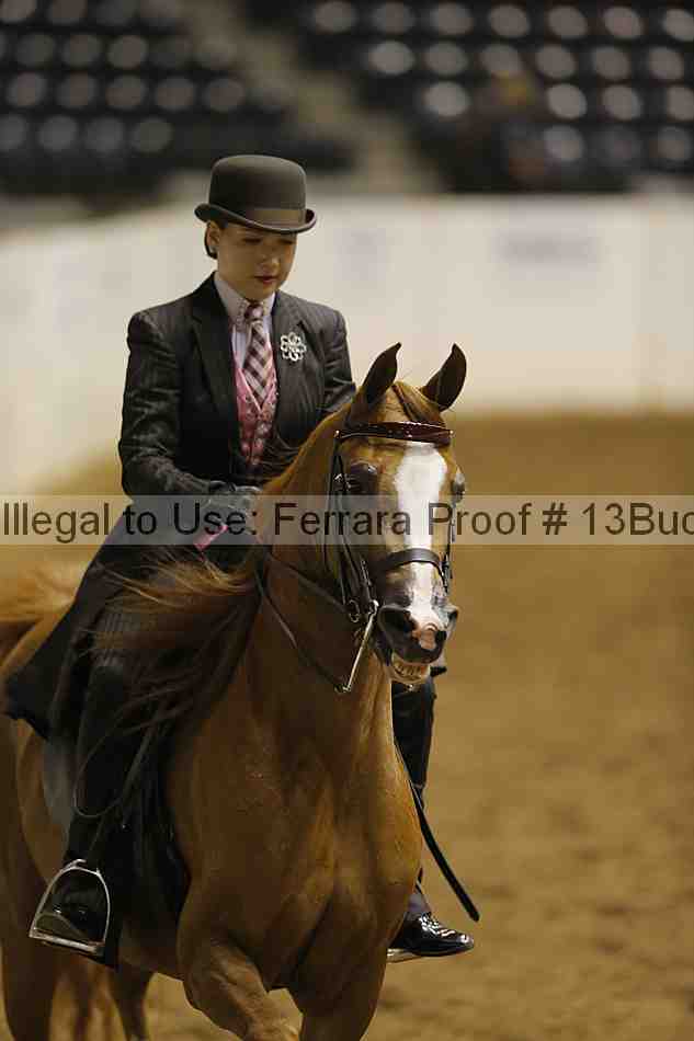 Proof 13buck_3811