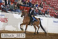 13buck_3812 proof
