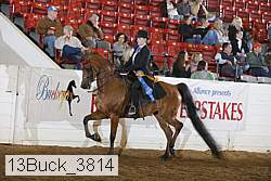 13buck_3814 proof