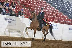 13buck_3817 proof