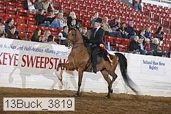 13buck_3819 proof