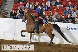 13buck_3821 proof