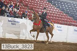 13buck_3823 proof