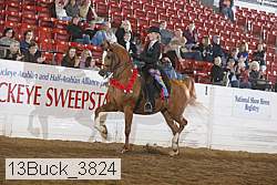 13buck_3824 proof