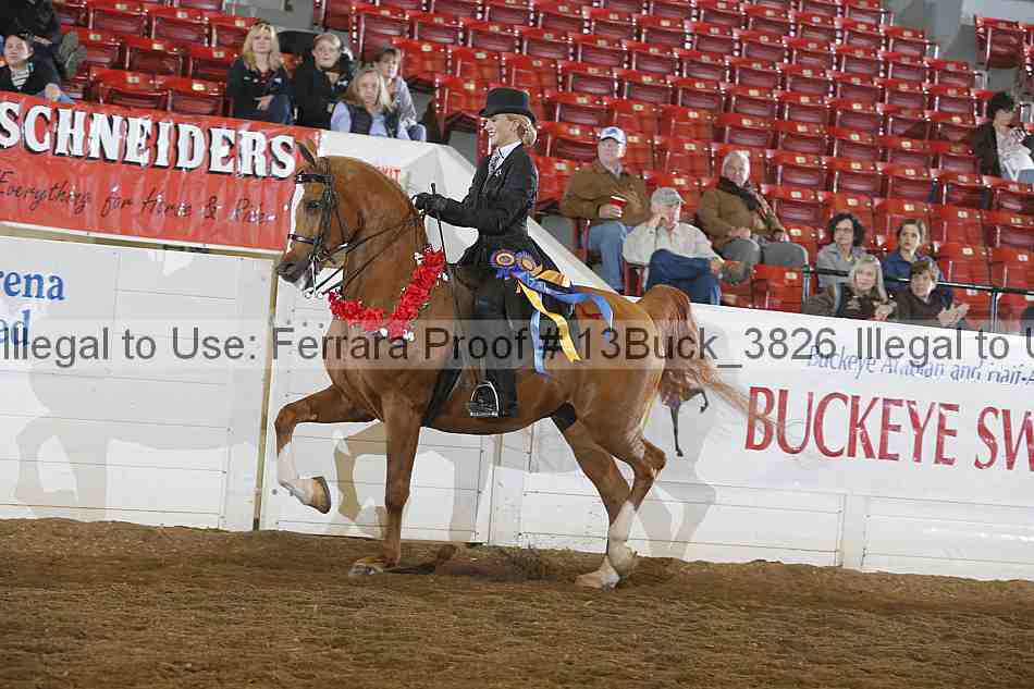 Proof 13buck_3826