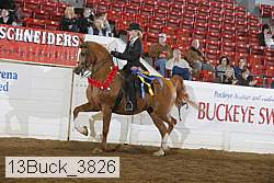 13buck_3826 proof