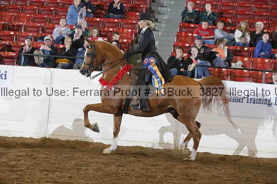 Proof 13buck_3827