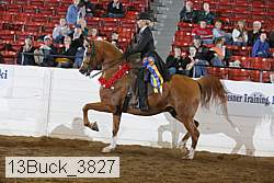 13buck_3827 proof