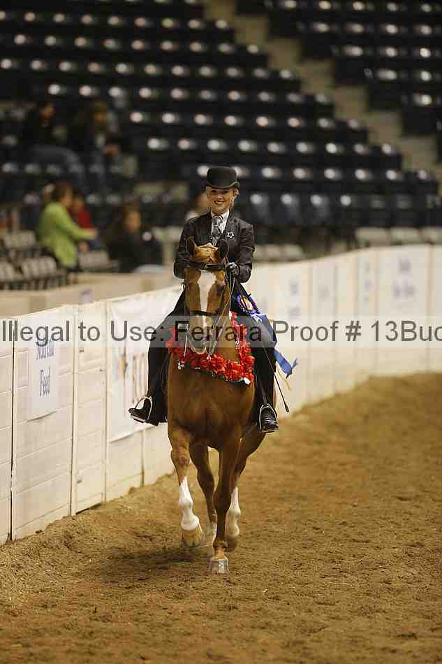 Proof 13buck_3830