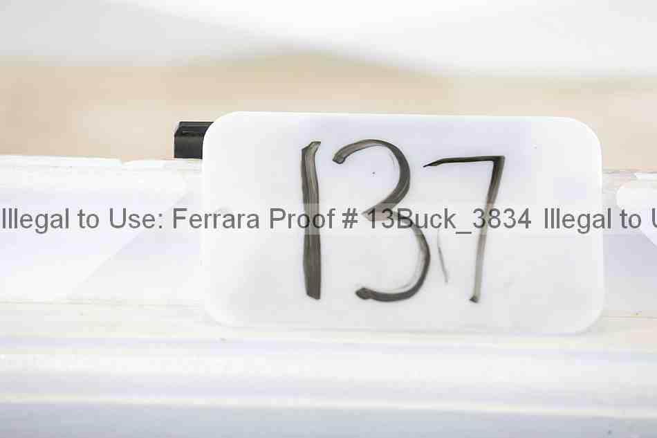 Proof 13buck_3834