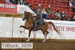 13buck_3835 proof