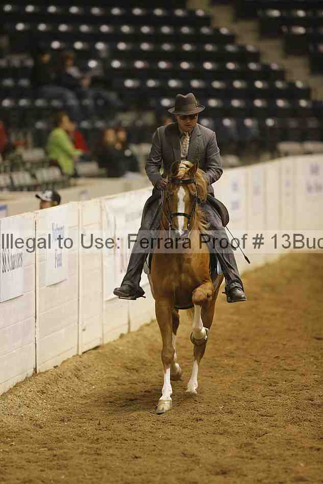 Proof 13buck_3836