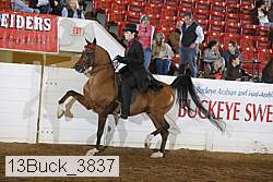 13buck_3837 proof
