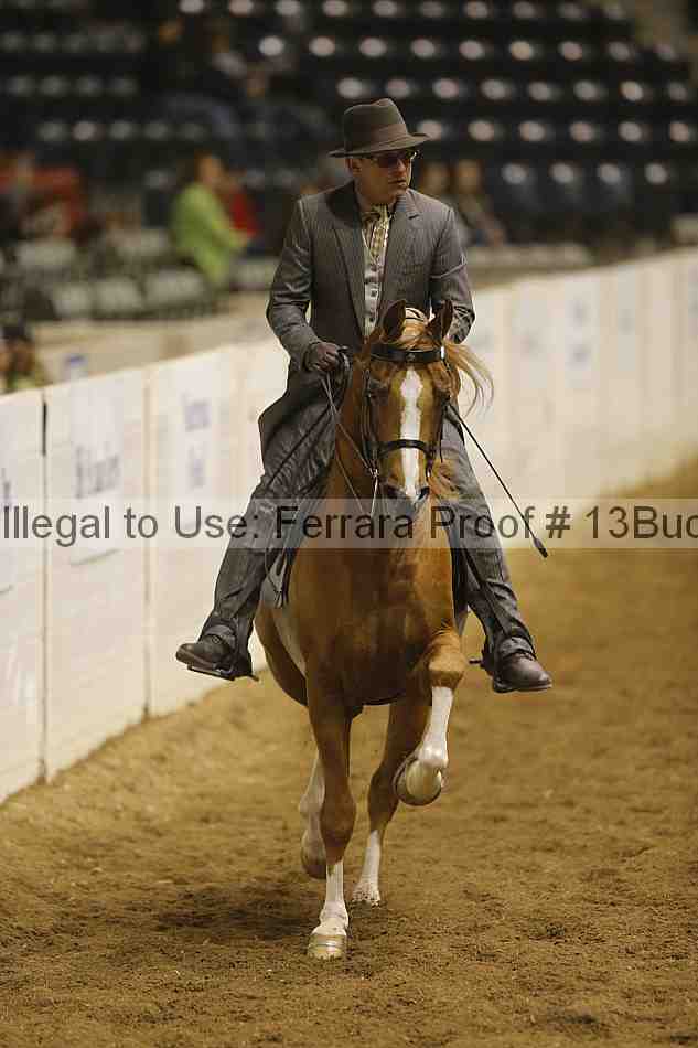 Proof 13buck_3838