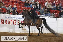 13buck_3840 proof