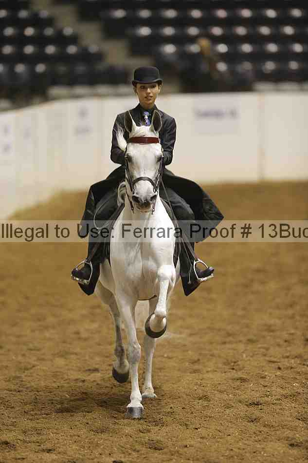 Proof 13buck_3842