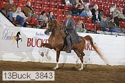 13buck_3843 proof