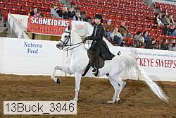 13buck_3846 proof