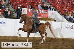 13buck_3847 proof