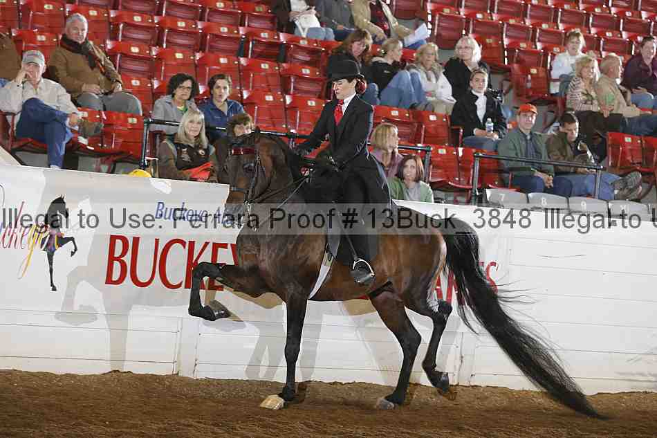 Proof 13buck_3848