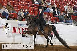 13buck_3848 proof