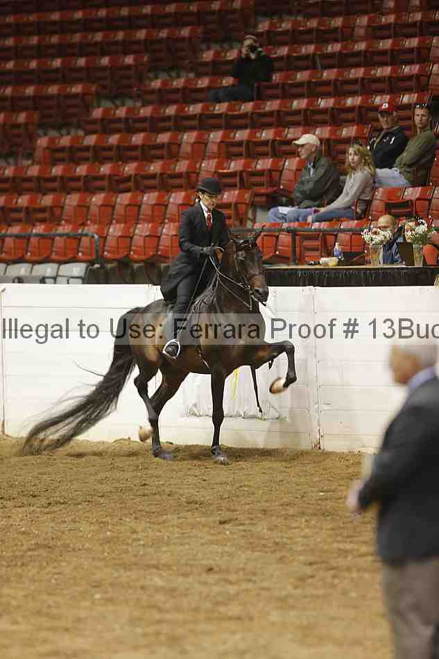 Proof 13buck_3850